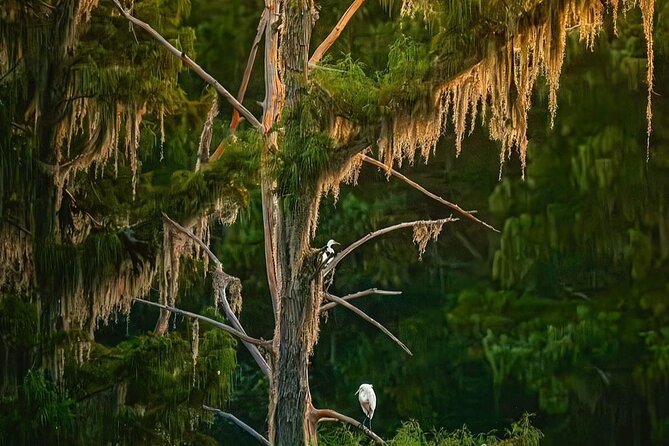 2-Hour Date Night and Sunset Cruise Near New Orleans - Stop 1: Tchefuncte River Light Station and the lighthouse sunset photo moment