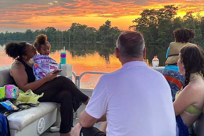 2-Hour Date Night and Sunset Cruise Near New Orleans - Wildlife on the river: why you might spot baby alligators