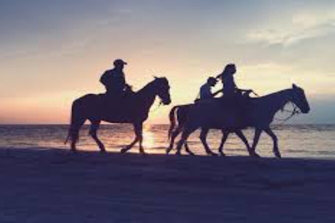 3-Hour Swim with Horses and Romantic Dinner from Hurghada hotels - Key Points You’ll Care About