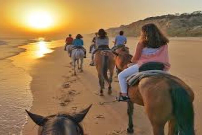 3-Hour Swim with Horses and Romantic Dinner from Hurghada hotels - Desert + Red Sea Rides in One 3-Hour Package