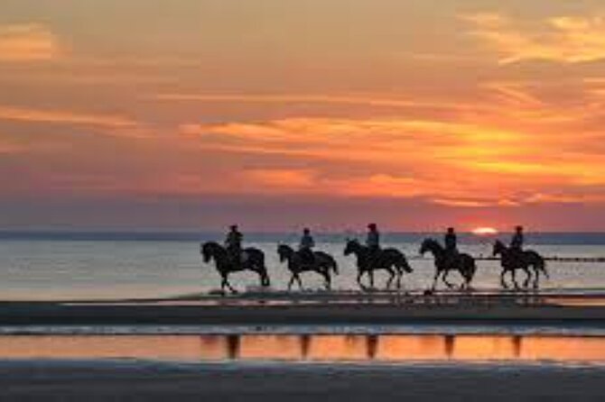 3-Hour Swim with Horses and Romantic Dinner from Hurghada hotels - The Desert Segment: Dunes, Pace, and Photos