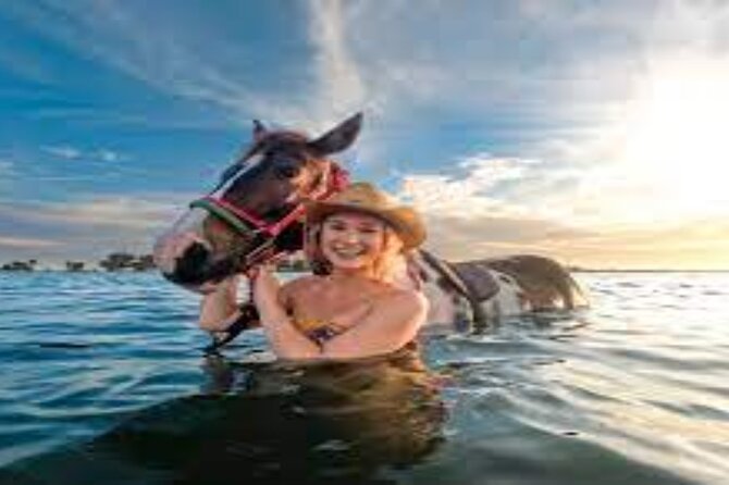 3-Hour Swim with Horses and Romantic Dinner from Hurghada hotels - Price Check: Is $18 Good Value?