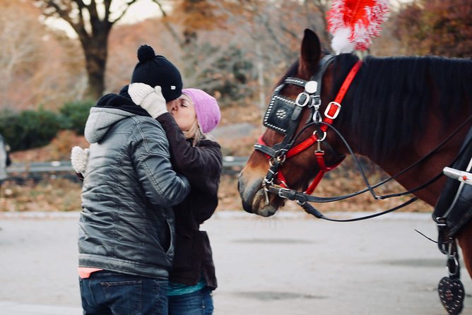 60 min surprise proposal carriage ride - The mini photoshoot: get memories along the way, not just at the climax