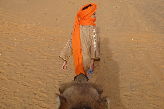 7-Day Romantic Tour in Morocco - Marrakech: Dar Yacout, Jemaa el-Fna Moments, and Majorelle Garden Quiet