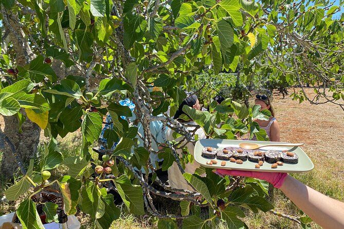 Algarve Romantic Vineyard Picnic in Carvoeiro - Getting to the meeting point without stress