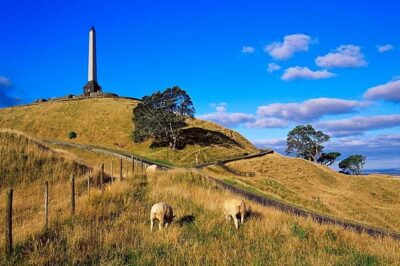 Auckland City Private Tour for Couples. Be chauffeur driven with added extras. - Your chauffeur experience: comfort, control, and “don’t worry about it” energy