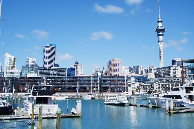 Auckland City Private Tour for Couples. Be chauffeur driven with added extras. - Auckland Museum Domain and Winter Gardens: culture without the time tax