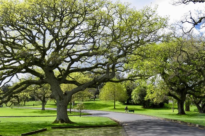 Auckland City Private Tour for Couples. Be chauffeur driven with added extras. - Mission Bay: a soft landing for feet (and a drink) after viewpoints
