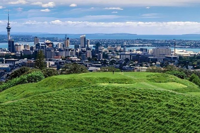 Auckland City Private Tour for Couples. Be chauffeur driven with added extras. - Parnell rose gardens and the Westhaven marina-to-bridge view