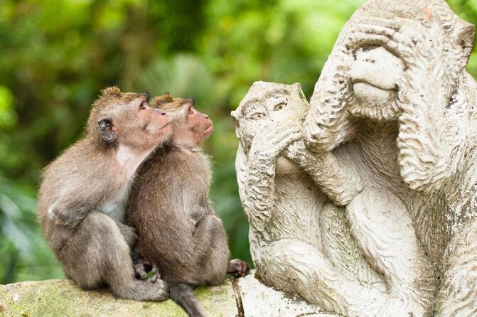 Bali Private Couple Tour – Custom Itinerary - Key highlights you’ll feel right away