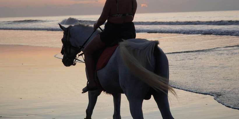 Bali: Romantic Seafood Dinner Jimbaran Beach Include Sunset - Why Jimbaran Beach seafood hits different at sunset