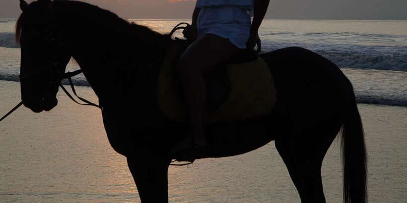 Bali: Romantic Seafood Dinner Jimbaran Beach Include Sunset - What the 1-hour dinner feels like on Jimbaran Beach