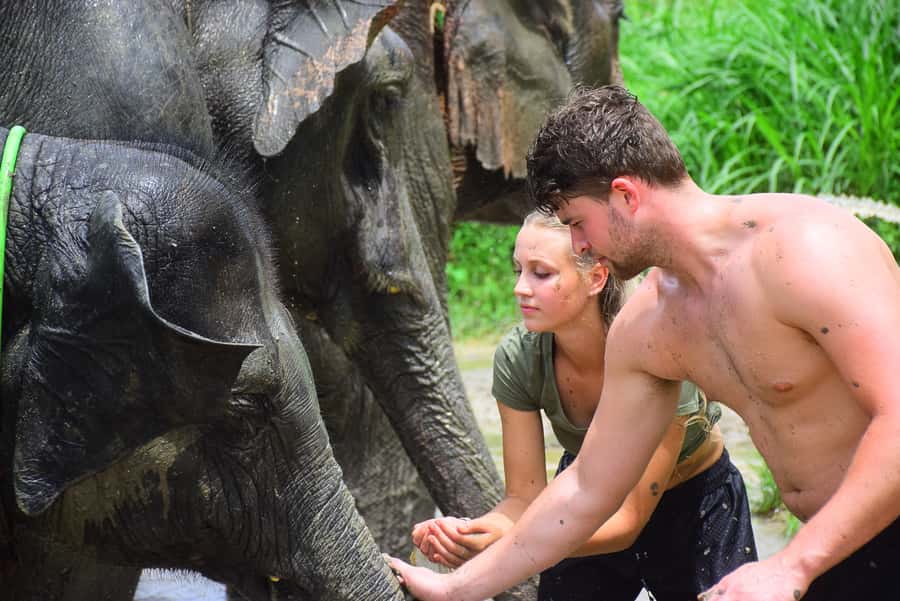 Chiang Mai: Private Elephant Care Experience for Couples - Key highlights worth planning around