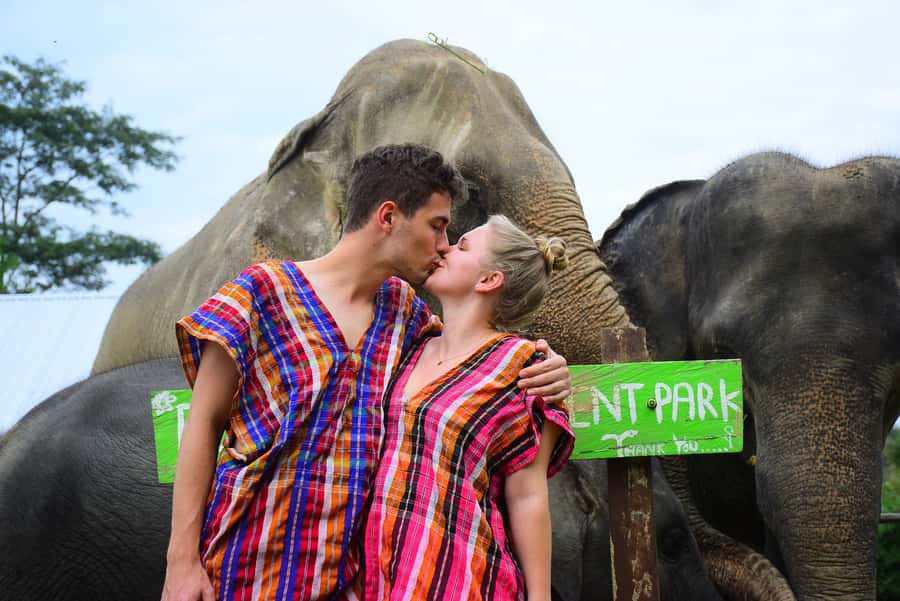Chiang Mai: Private Elephant Care Experience for Couples - Meeting the rescued elephants and learning their retirement story
