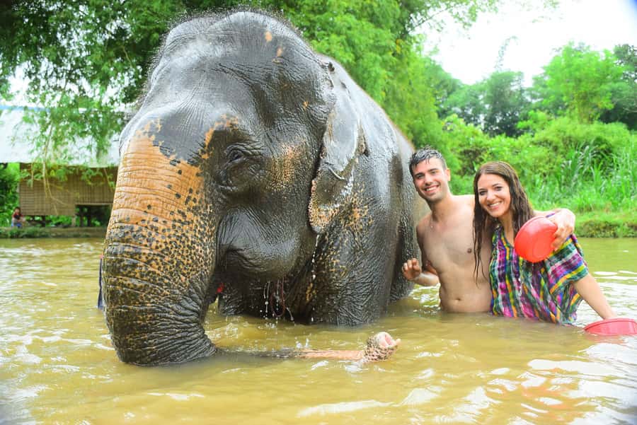 Chiang Mai: Private Elephant Care Experience for Couples - The morning pickup and ride to the Elephant Retirement Park