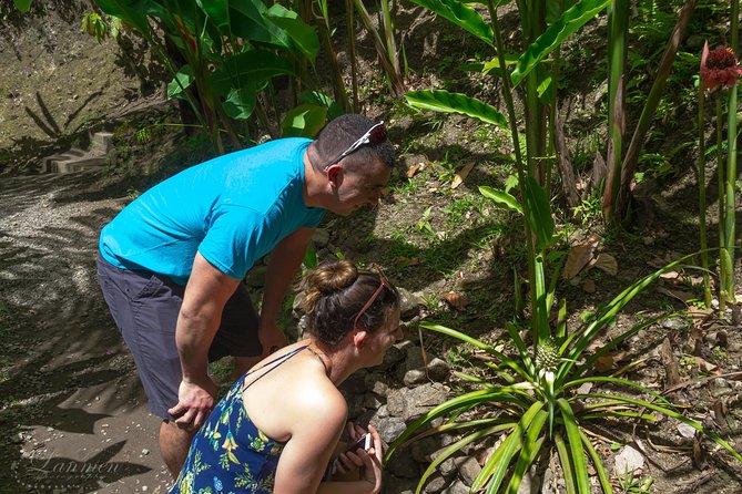 Couples Private St. Lucia Highlights Tour - Toraille Waterfall and the Botanical Gardens: your nature break with a learning element