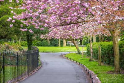 Cupid’s Trail: Romantic Puzzle Quest in Dublin - Price and value: paying less, seeing more