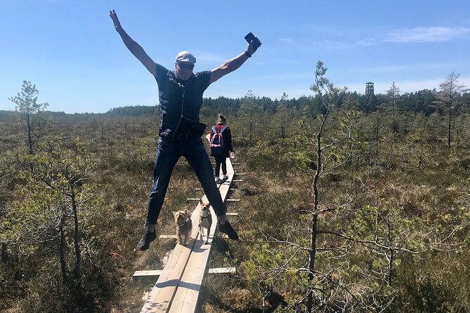 Day Trip to Land of Bays, the Romantic North-Coast from Tallinn - Key highlights and why they matter