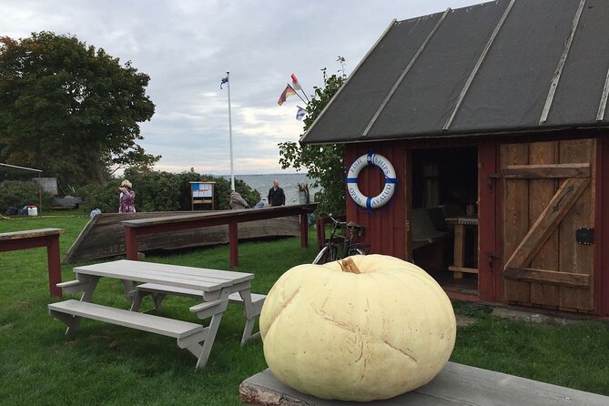 Day Trip to Land of Bays, the Romantic North-Coast from Tallinn - A north-coast day trip that actually covers ground from Tallinn