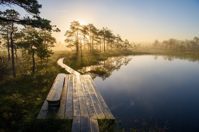 Day Trip to Land of Bays, the Romantic North-Coast from Tallinn - Viru Bog trail: a wooden boardwalk walk through peat country