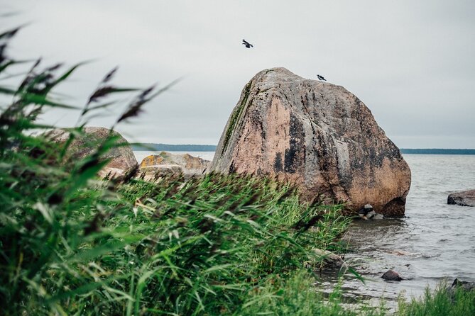 Day Trip to Land of Bays, the Romantic North-Coast from Tallinn - The seaside picnic: where it lands depends on season and weather