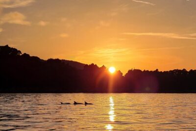 Dubrovnik Romantic Sunset Boat Tour - Price and value: what $326.49 actually buys you
