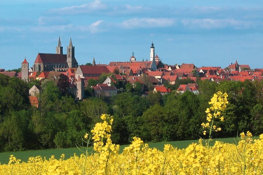 Frankfurt: Romantic Road & Rothenburg ob der Tauber Tour - Who This Tour Fits Best