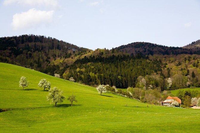 from Frankfurt - romantic Black Forest & brewery, private tour - Key highlights at a glance