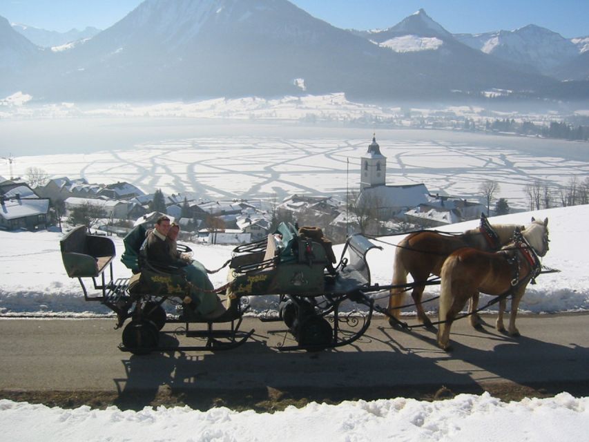 From Salzburg Romantic Carriage Ride through the Countryside - Quick take: why this ride works so well