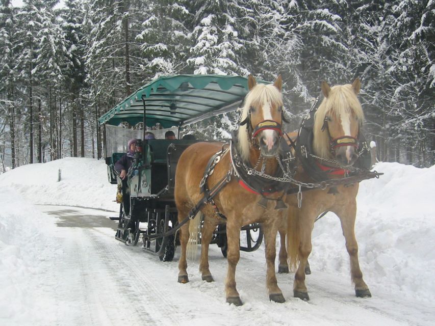 From Salzburg Romantic Carriage Ride through the Countryside - Horse-drawn sleigh vs carriage on wheels: how to read the conditions