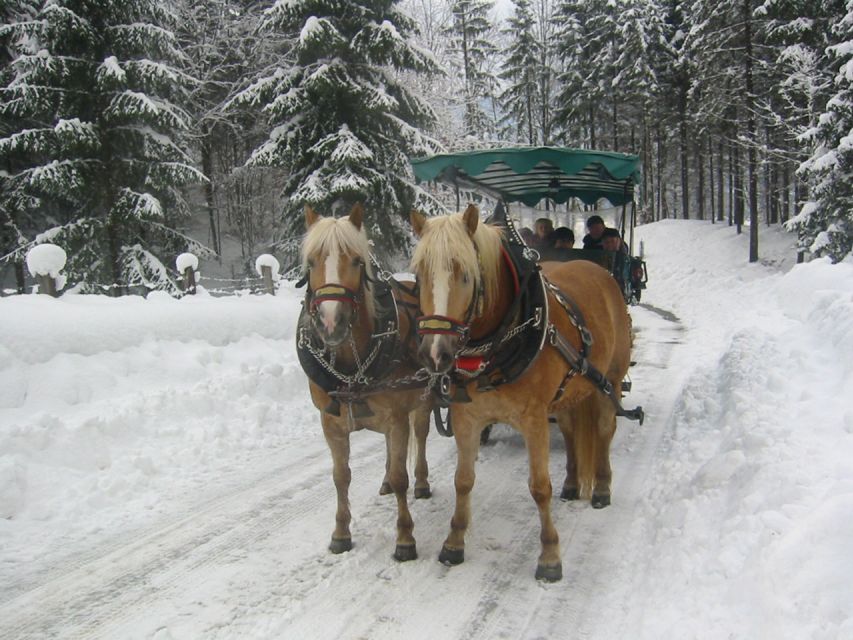 From Salzburg Romantic Carriage Ride through the Countryside - Lake Wolfgang strolls: a simple plan for your time on foot