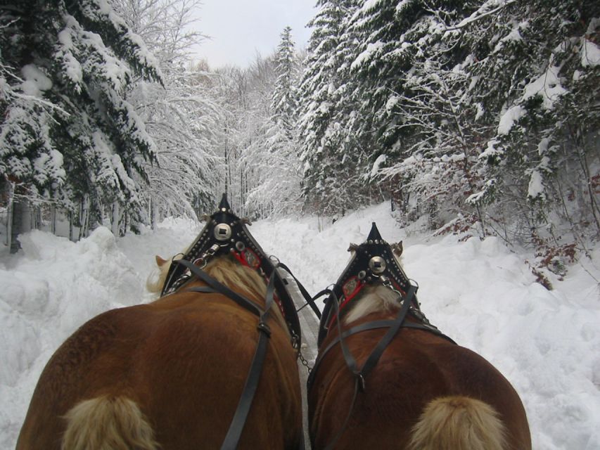 From Salzburg Romantic Carriage Ride through the Countryside - Christmas markets during the holidays: festive time without the full-day crush