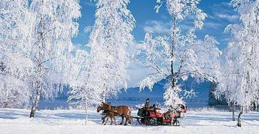 From Salzburg Romantic Carriage Ride through the Countryside - The 4-hour schedule: Mirabell pickup, Lake Wolfgang, then back to Salzburg