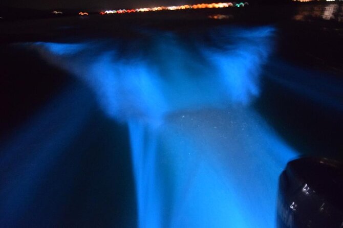 Glow with the Flow: A Romantic Night at the Luminous Lagoon”) - Price and value: what $70 buys you (and what it doesn’t)