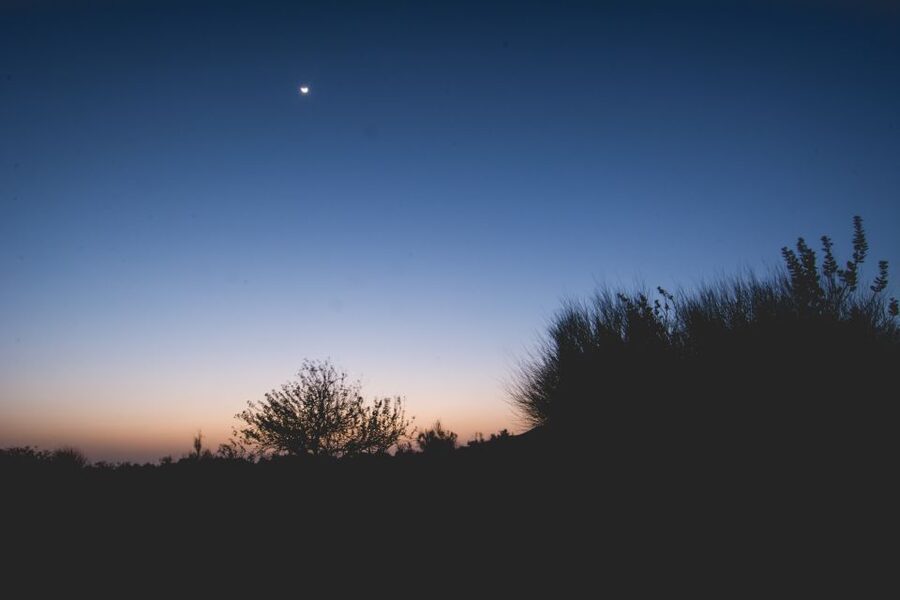 Jaisalmer: Romantic Night with Luxury Desert Camping - Next morning: tea, breakfast, sunrise timing, and an easy return to town