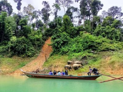 Khao Lak: Cheow Lan Lake Romantic Sunset Cruise with Drinks - The Ratchaprapha Marina long-tail boat ride: calm water, karst cliffs, and quick photo wins