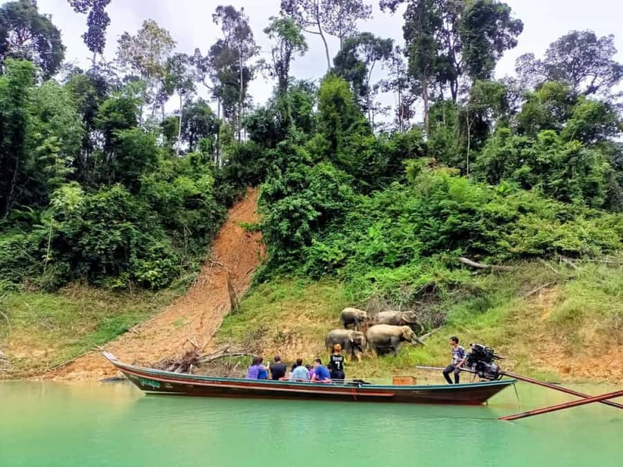 Khao Lak: Cheow Lan Lake Romantic Sunset Cruise with Drinks - The Ratchaprapha Marina long-tail boat ride: calm water, karst cliffs, and quick photo wins