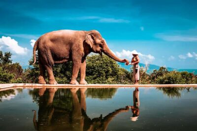 Koh Samui: Private Photoshoot for Couples & Families - Hotel Pickup and Drop-Off: The Part That Saves Your Holiday