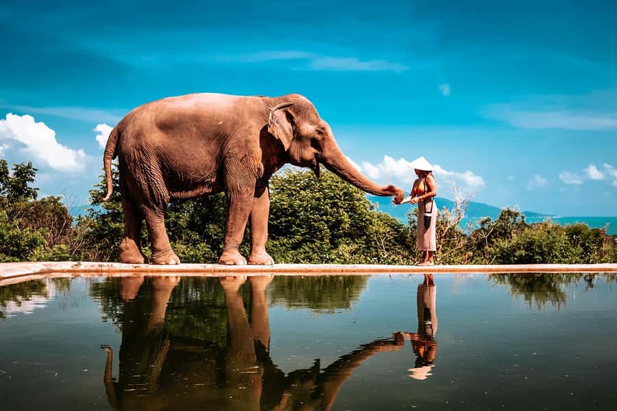 Koh Samui: Private Photoshoot for Couples & Families - Hotel Pickup and Drop-Off: The Part That Saves Your Holiday
