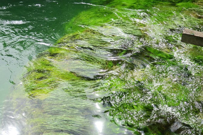 Krka waterfalls luxury tour for singles or couples - Price and Value: What the $199.53 Includes (and What Might Cost Extra)