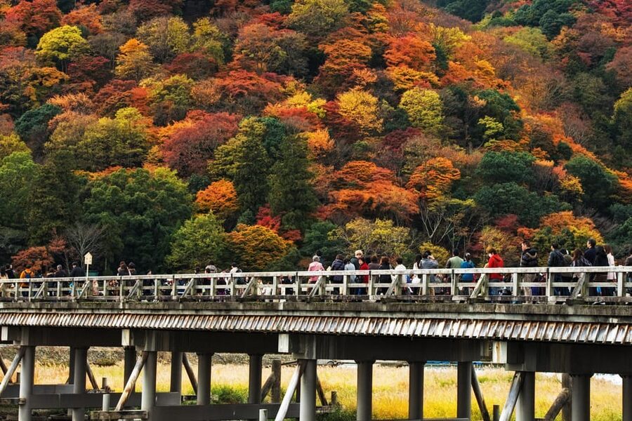 Kyoto: Arashiyama Tour with optional Sagano Romantic Train - The Sagano Romantic Train option: the ride that sets the mood
