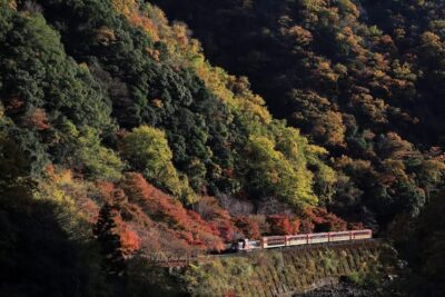 Kyoto: Arashiyama Tour with optional Sagano Romantic Train - Choosing the start point: Torokko Arashiyama vs JR Umahori