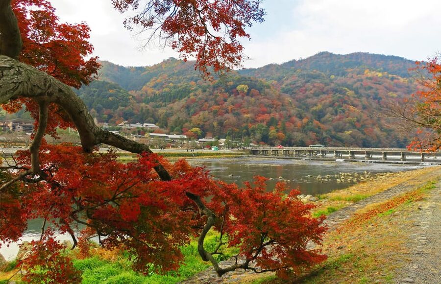 Kyoto: Arashiyama Tour with optional Sagano Romantic Train - Mikami Shrine: short stop, clear local meaning