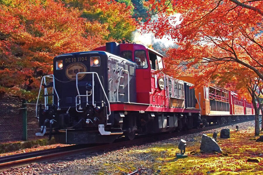 Kyoto Hozugawa River Boat Sagano Romantic Train Tour - The 5-hour rail-and-rapids rhythm
