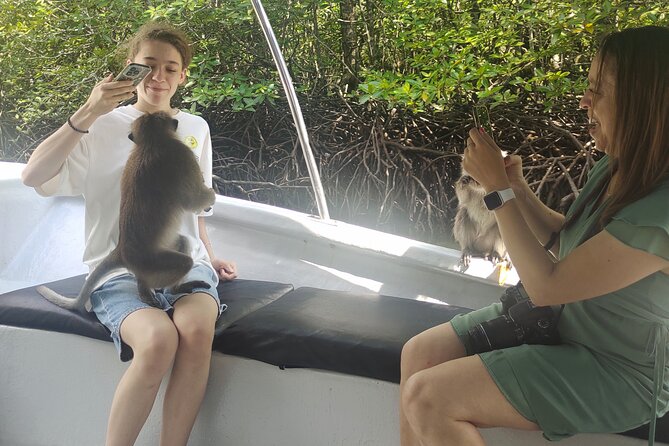 Langkawi Highlights Day Tour - ATV, Mangrove Cruise & Cable Car - Cable Car Ride with Express Lane: Views to Close the Loop
