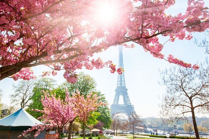 Live, Laugh, Love Along the Seine: Self-Guided Romantic Tour - Fontaine Saint-Michel and Shakespeare and Company: The Bookish Side of the Seine