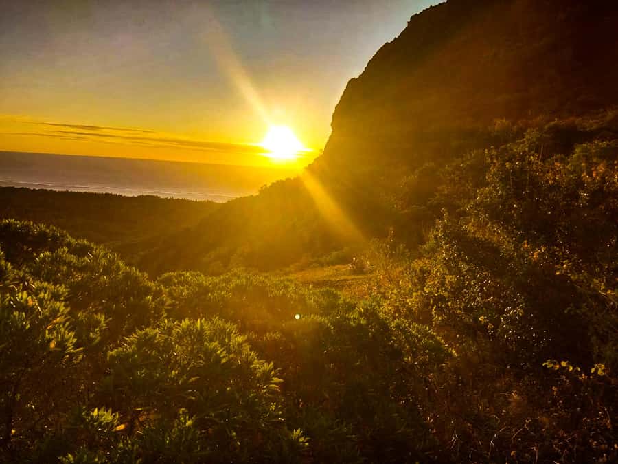Mauritius: Exclusive Le Morne Sunset Hike & Aperitivo - Key highlights you’ll actually feel on the day