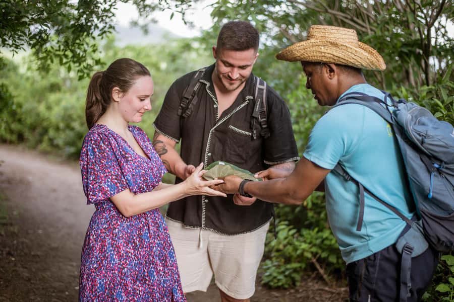 Mauritius: Exclusive Le Morne Sunset Hike & Aperitivo - Timing, fitness, and what to bring