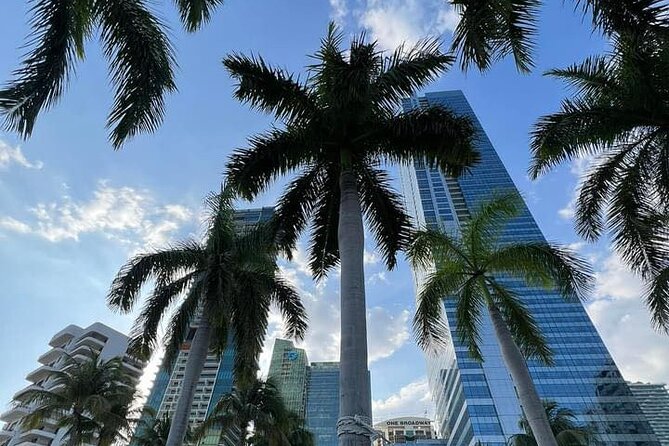 Miami Magic City Romantic Date Tour - Price and Value: Why $250 Can Actually Make Sense Here