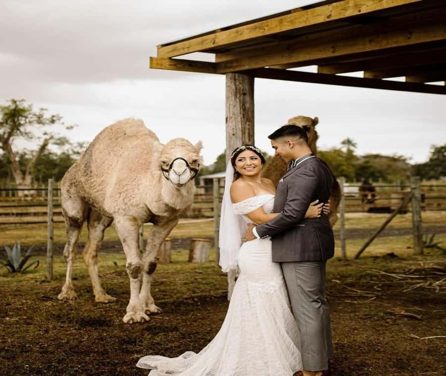 Moroccan Luxury Wedding Ritual: Full romantic experience - The Stress-Saver Pieces: Transport, Private Group, and Photographer